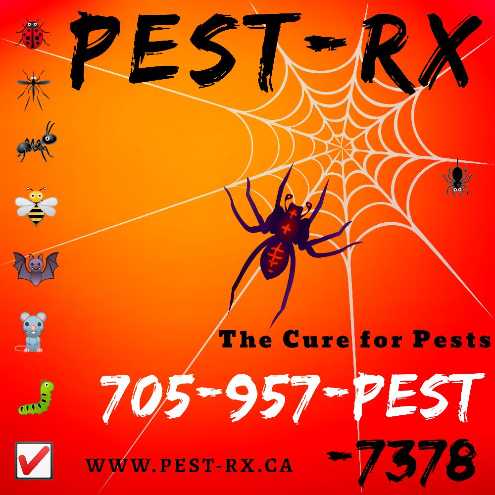 Pest-RX